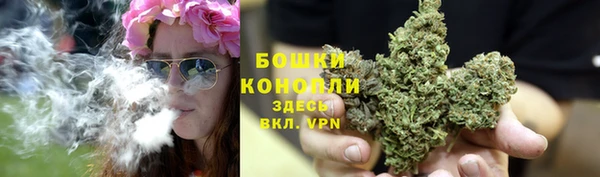 гидропоника Новокубанск