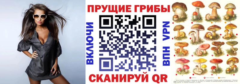 omg tor  где найти   Качканар  Галлюциногенные грибы Magic Shrooms 