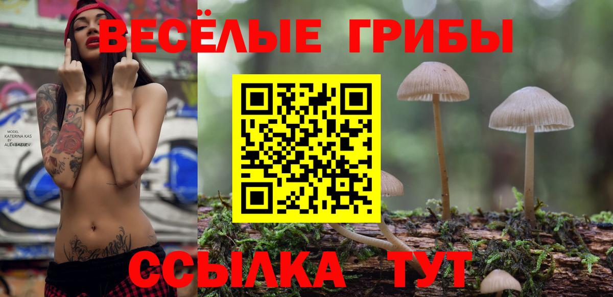 Галлюциногенные грибы Cubensis  Вход с VPN  наркотики  Качканар 