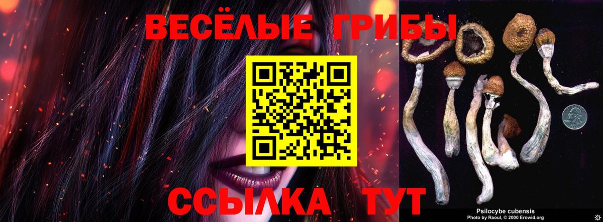 Галлюциногенные грибы Cubensis Качканар